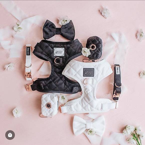 Sassy Woof “I Do Too” Adjustable Harness - White - Picture 2 of 6